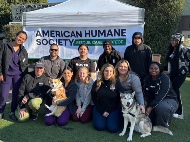 American Humane Society hosts animal wellness clinic